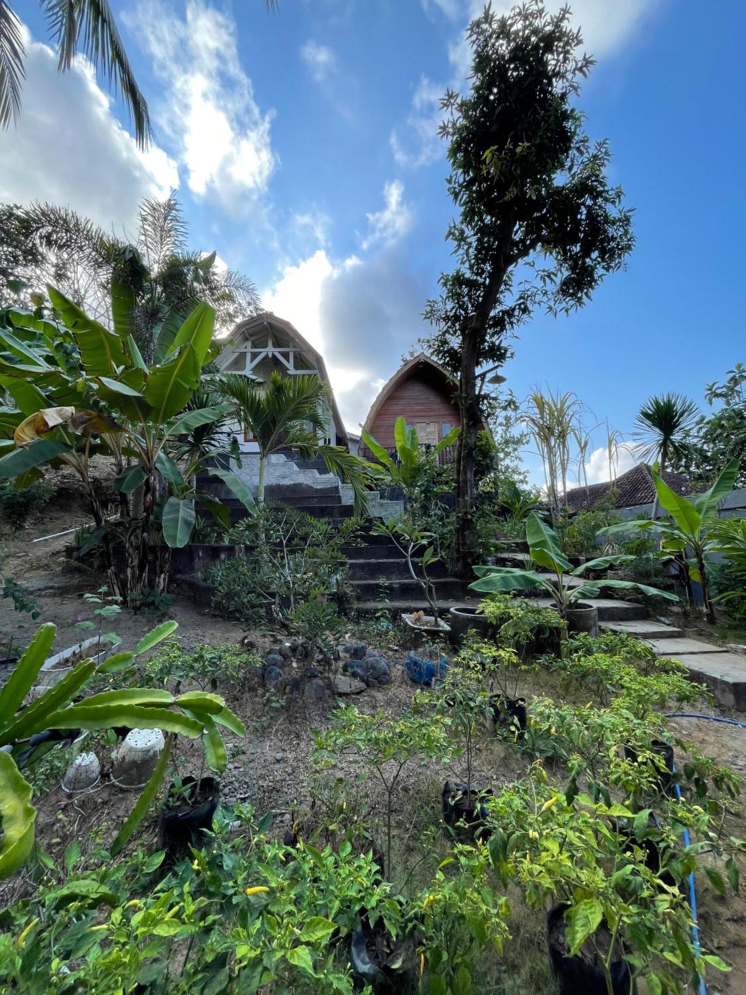Tri Putri Homestay Kuta  Екстер'єр фото