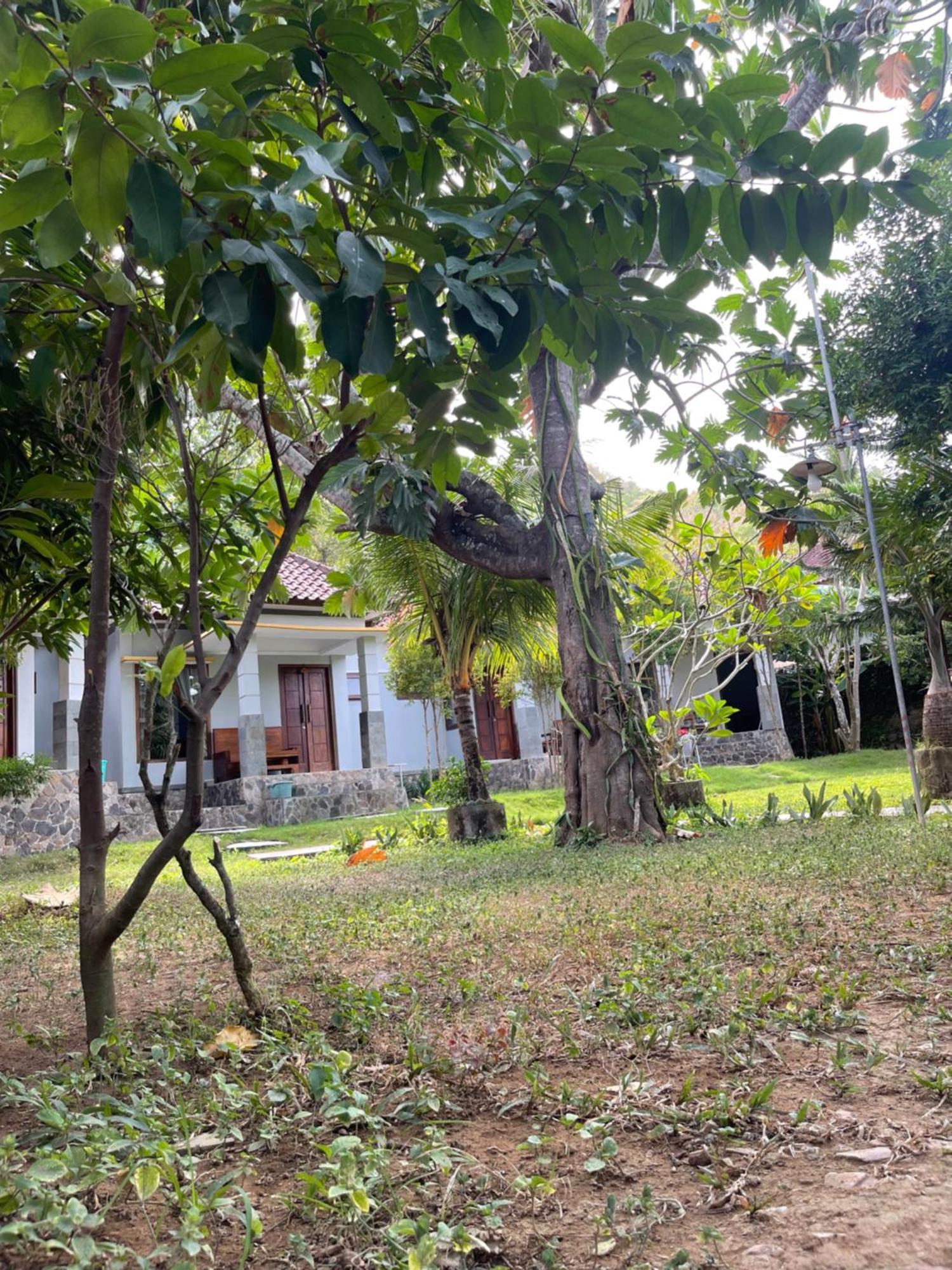 Tri Putri Homestay Kuta  Екстер'єр фото